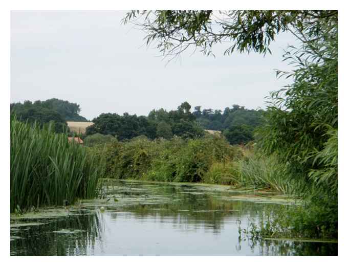 River Stour near Cattawade