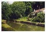 A heron on the bank