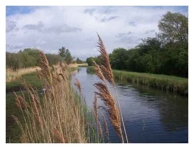 Wicken Lode © naturenet.net