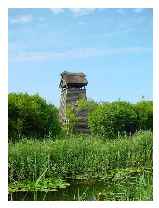 Bird watchers lookout © escdotdot