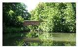 The canal in Hampshire