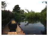 The river here is lovely - lots of trees and reeds. Also a few narrow sections.