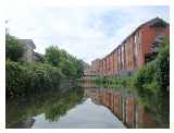 The Wey was almost blocked bt a fallen tree