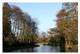 Millmead lock in Guildford