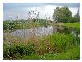 River Stour in Nayland © Running in Suffolk