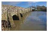 Greatham Bridge, River Arun