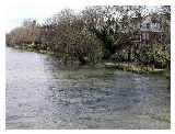 Thames at Hammersmith © David Smith