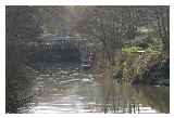 The lock at Teston © Trevor Cannon