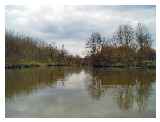 A peaceful River Medway © Matt Oseman