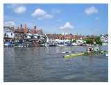 Rowers at Henley