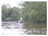 Punting at Frogmill Spinney