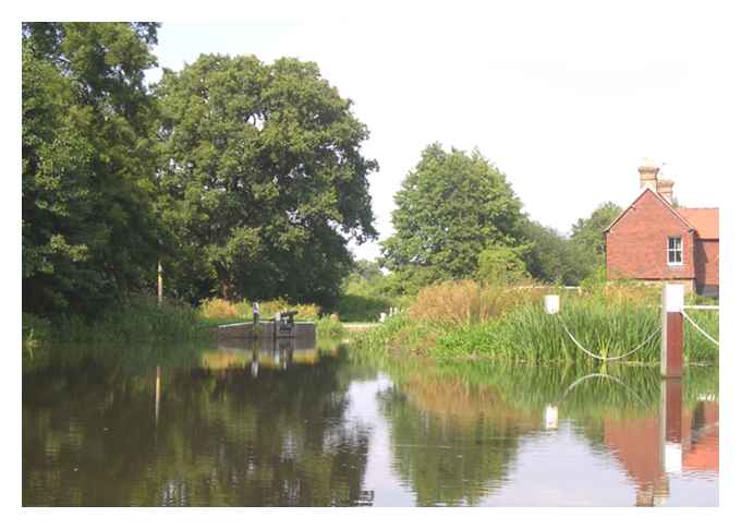 Walsham Flood Gates 