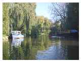 The River Lodden approaches the Thames 