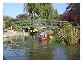 Hennerton Backwater