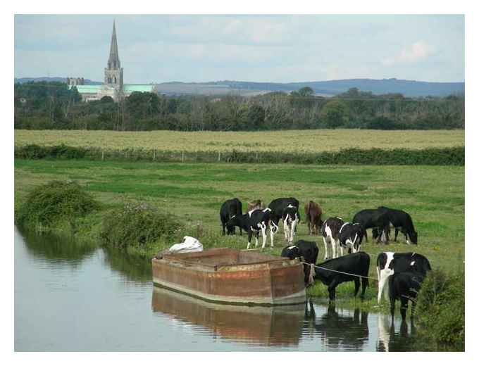 Chichester Canal Basin © Peter Dixon