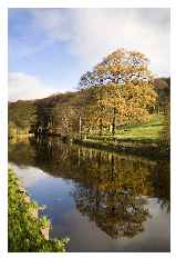 Canal near Farnhill © Michael John