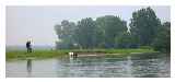 Dog walkers on Port Meadow