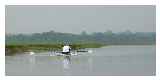 Rower at Port meadow