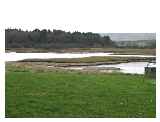 salt marshes from the car park