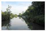 As you head away from Hawkesbury junction, the canal here is rural and very pleasant